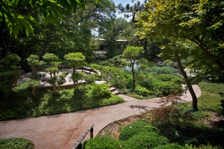 Filename=DSC_2464.jpg
Filesize=18273KiB
Dimensions=7360x4912
Date added=Sep 27, 2019 DSC_2464.jpg