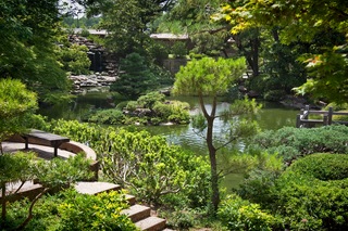 Filename=DSC_2465.jpg
Filesize=15666KiB
Dimensions=7360x4912
Date added=Sep 27, 2019 DSC_2465.jpg