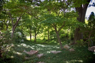 Filename=DSC_2467.jpg
Filesize=15768KiB
Dimensions=7360x4912
Date added=Sep 27, 2019 DSC_2467.jpg