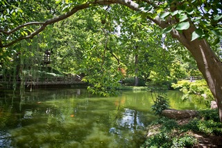 Filename=DSC_2478.jpg
Filesize=14295KiB
Dimensions=7360x4912
Date added=Sep 27, 2019 DSC_2478.jpg