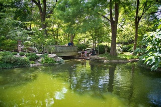 Filename=DSC_2479.jpg
Filesize=14220KiB
Dimensions=7360x4912
Date added=Sep 27, 2019 DSC_2479.jpg