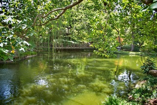 Filename=DSC_2482.jpg
Filesize=14658KiB
Dimensions=7360x4912
Date added=Sep 27, 2019 DSC_2482.jpg