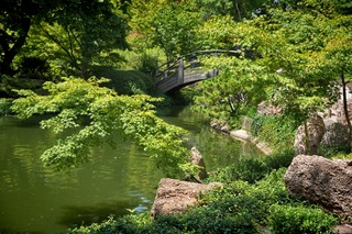 Filename=DSC_2484.jpg
Filesize=12665KiB
Dimensions=7360x4912
Date added=Sep 27, 2019 DSC_2484.jpg