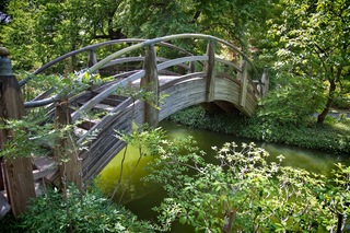 Filename=DSC_2487.jpg
Filesize=14167KiB
Dimensions=7360x4912
Date added=Sep 27, 2019 DSC_2487.jpg