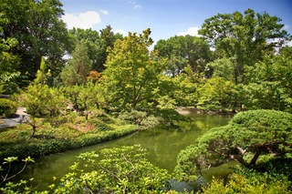 Filename=DSC_2488.jpg
Filesize=16591KiB
Dimensions=7360x4912
Date added=Sep 27, 2019 DSC_2488.jpg