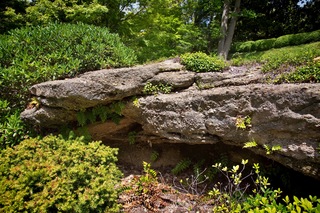 Filename=DSC_2489.jpg
Filesize=17434KiB
Dimensions=7360x4912
Date added=Sep 27, 2019 DSC_2489.jpg