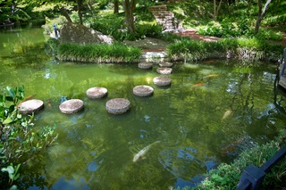 Filename=DSC_2490.jpg
Filesize=11396KiB
Dimensions=7360x4912
Date added=Sep 27, 2019 DSC_2490.jpg