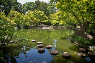 Filename=DSC_2492.jpg
Filesize=15072KiB
Dimensions=7360x4912
Date added=Sep 27, 2019 DSC_2492.jpg