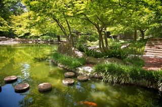 Filename=DSC_2493.jpg
Filesize=15404KiB
Dimensions=7360x4912
Date added=Sep 27, 2019 DSC_2493.jpg