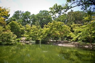 Filename=DSC_2497.jpg
Filesize=16268KiB
Dimensions=7360x4912
Date added=Sep 27, 2019 DSC_2497.jpg