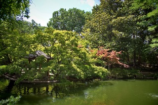 Filename=DSC_2498.jpg
Filesize=15395KiB
Dimensions=7360x4912
Date added=Sep 27, 2019 DSC_2498.jpg