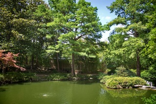 Filename=DSC_2499.jpg
Filesize=16424KiB
Dimensions=7360x4912
Date added=Sep 27, 2019 DSC_2499.jpg