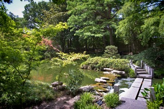 Filename=DSC_2502.jpg
Filesize=16793KiB
Dimensions=7360x4912
Date added=Sep 27, 2019 DSC_2502.jpg