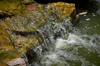 Filename=DSC_2505.jpg
Filesize=15677KiB
Dimensions=7360x4912
Date added=Sep 27, 2019 DSC_2505.jpg