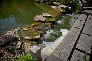 Filename=DSC_2507.jpg
Filesize=12664KiB
Dimensions=7360x4912
Date added=Sep 27, 2019 DSC_2507.jpg