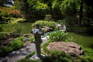 Filename=DSC_2508.jpg
Filesize=13509KiB
Dimensions=7360x4912
Date added=Sep 27, 2019 DSC_2508.jpg