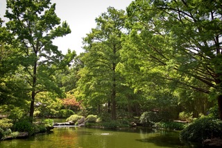 Filename=DSC_2511.jpg
Filesize=16789KiB
Dimensions=7360x4912
Date added=Sep 27, 2019 DSC_2511.jpg