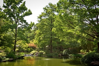 Filename=DSC_2512.jpg
Filesize=17421KiB
Dimensions=7360x4912
Date added=Sep 27, 2019 DSC_2512.jpg