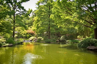 Filename=DSC_2513.jpg
Filesize=15044KiB
Dimensions=7360x4912
Date added=Sep 27, 2019 DSC_2513.jpg