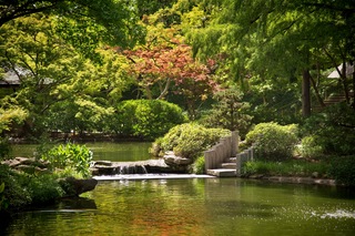 Filename=DSC_2514.jpg
Filesize=14479KiB
Dimensions=7360x4912
Date added=Sep 27, 2019 DSC_2514.jpg