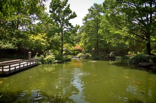 Filename=DSC_2515.jpg
Filesize=13976KiB
Dimensions=7360x4912
Date added=Sep 27, 2019 DSC_2515.jpg