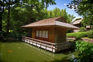 Filename=DSC_2516.jpg
Filesize=11549KiB
Dimensions=7360x4912
Date added=Sep 27, 2019 DSC_2516.jpg