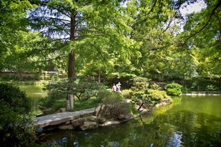 Filename=DSC_2518.jpg
Filesize=18469KiB
Dimensions=7360x4912
Date added=Sep 27, 2019 DSC_2518.jpg