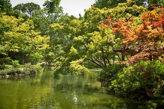 Filename=DSC_2521.jpg
Filesize=18142KiB
Dimensions=7360x4912
Date added=Sep 27, 2019 DSC_2521.jpg