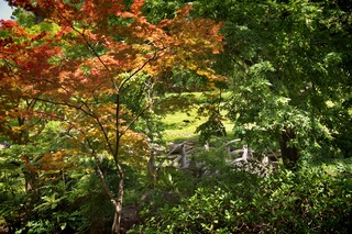 Filename=DSC_2525.jpg
Filesize=12671KiB
Dimensions=7360x4912
Date added=Sep 27, 2019 DSC_2525.jpg