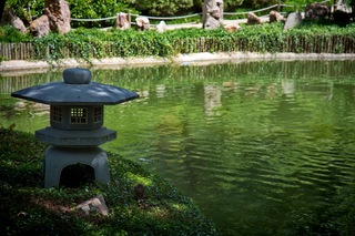 Filename=DSC_2527.jpg
Filesize=7758KiB
Dimensions=7360x4912
Date added=Sep 27, 2019 DSC_2527.jpg