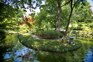 Filename=DSC_2528.jpg
Filesize=17841KiB
Dimensions=7360x4912
Date added=Sep 27, 2019 DSC_2528.jpg