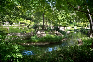 Filename=DSC_2530.jpg
Filesize=13798KiB
Dimensions=7360x4912
Date added=Sep 27, 2019 DSC_2530.jpg