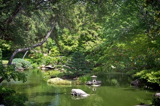 Filename=DSC_2532.jpg
Filesize=15386KiB
Dimensions=7360x4912
Date added=Sep 27, 2019 DSC_2532.jpg