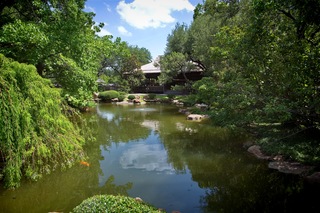 Filename=DSC_2533.jpg
Filesize=13448KiB
Dimensions=7360x4912
Date added=Sep 27, 2019 DSC_2533.jpg