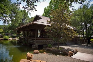 Filename=DSC_2534.jpg
Filesize=14283KiB
Dimensions=7360x4912
Date added=Sep 27, 2019 DSC_2534.jpg