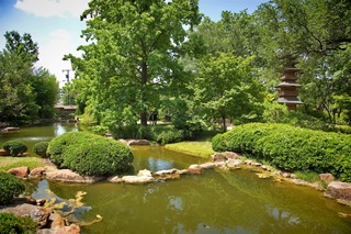 Filename=DSC_2535.jpg
Filesize=17337KiB
Dimensions=7360x4912
Date added=Sep 27, 2019 DSC_2535.jpg