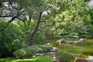 Filename=DSC_2537.jpg
Filesize=16064KiB
Dimensions=7360x4912
Date added=Sep 27, 2019 DSC_2537.jpg