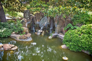 Filename=DSC_2539.jpg
Filesize=14436KiB
Dimensions=7360x4912
Date added=Sep 27, 2019 DSC_2539.jpg