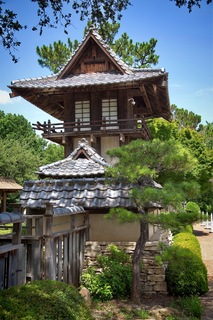 Filename=DSC_2540.jpg
Filesize=11923KiB
Dimensions=4912x7360
Date added=Sep 27, 2019 DSC_2540.jpg