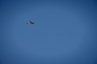 Filename=DSC_2566.jpg
Filesize=1292KiB
Dimensions=7360x4912
Date added=Sep 27, 2019 DSC_2566.jpg