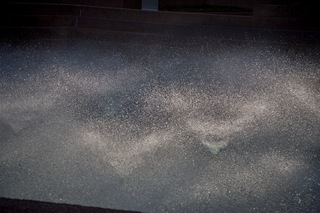 Filename=DSC_2577.jpg
Filesize=13732KiB
Dimensions=7360x4912
Date added=Sep 27, 2019 DSC_2577.jpg