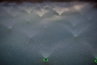 Filename=DSC_2580.jpg
Filesize=9336KiB
Dimensions=7360x4912
Date added=Sep 27, 2019 DSC_2580.jpg