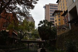 Filename=DSC_3339.JPG
Filesize=19913KiB
Dimensions=7360x4912
Date added=Sep 26, 2019 DSC_3339.JPG