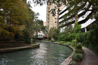 Filename=DSC_3348.JPG
Filesize=23553KiB
Dimensions=7360x4912
Date added=Sep 26, 2019 DSC_3348.JPG