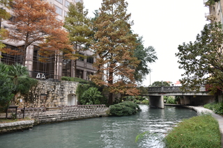 Filename=DSC_3349.JPG
Filesize=22882KiB
Dimensions=7360x4912
Date added=Sep 26, 2019 DSC_3349.JPG