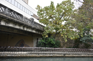 Filename=DSC_3353.JPG
Filesize=23170KiB
Dimensions=7360x4912
Date added=Sep 26, 2019 DSC_3353.JPG