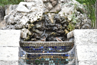 Filename=DSC_3358.JPG
Filesize=17195KiB
Dimensions=7360x4912
Date added=Sep 26, 2019 DSC_3358.JPG