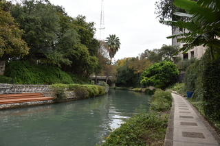 Filename=DSC_3359.JPG
Filesize=22487KiB
Dimensions=7360x4912
Date added=Sep 26, 2019 DSC_3359.JPG