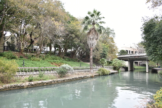 Filename=DSC_3360.JPG
Filesize=23928KiB
Dimensions=7360x4912
Date added=Sep 26, 2019 DSC_3360.JPG