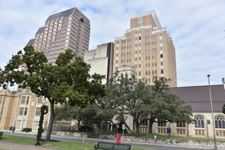 Filename=DSC_3385.JPG
Filesize=21343KiB
Dimensions=7360x4912
Date added=Sep 26, 2019 DSC_3385.JPG